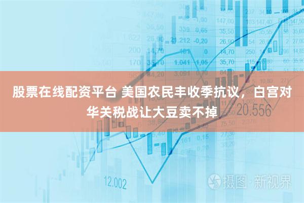 股票在线配资平台 美国农民丰收季抗议，白宫对华关税战让大豆卖不掉