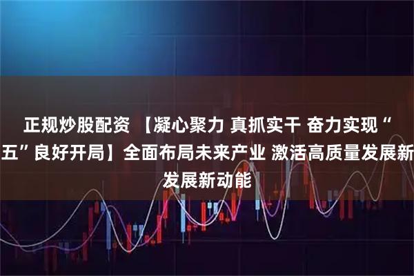 正规炒股配资 【凝心聚力 真抓实干 奋力实现“十五五”良好开局】全面布局未来产业 激活高质量发展新动能