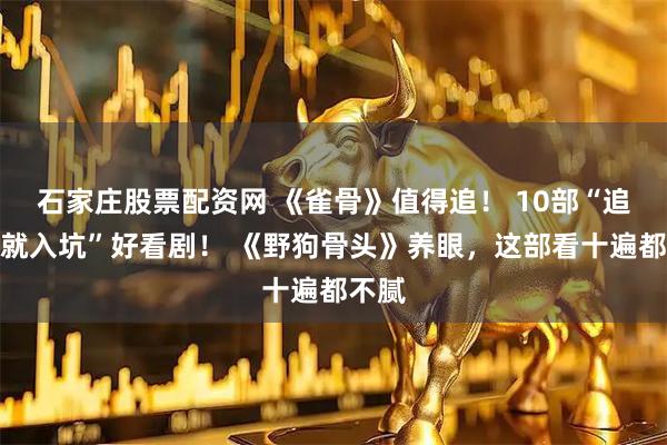 石家庄股票配资网 《雀骨》值得追！ 10部“追一集就入坑”好看剧！ 《野狗骨头》养眼，这部看十遍都不腻